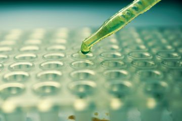 The best universities for maths, physics and chemistry chemist, chemistry, science, research