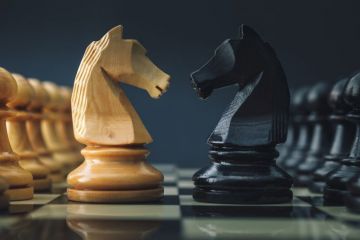 A black and white pair of chess knights face each other