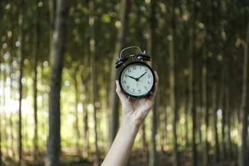 circadian rhythm circadian rhythm