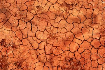 Patch of parched earth