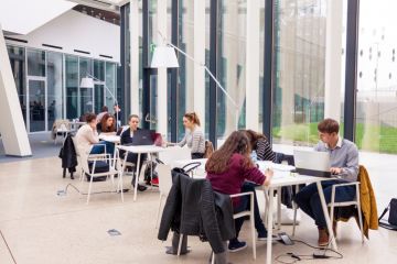 Young adult students sitting in groups in modern library and studying. Young adult students sitting in groups in modern library and studying.