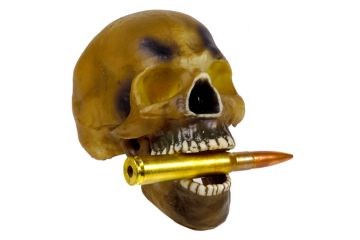 bite the bullet press ahead accept the inevitable