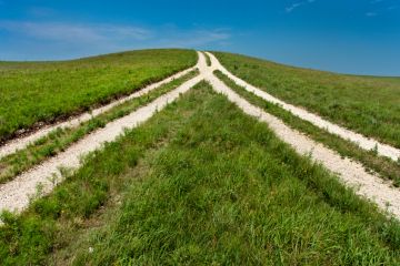 Fork in the road, merger