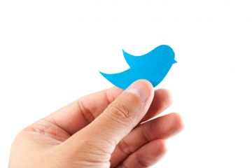 Hand holding blue paper bird in style of Twitter logo