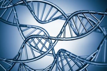 Tomas Lindahl's work on DNA repair in cells has been recognised by the Nobel Prize committee nobel prize winner chemistry