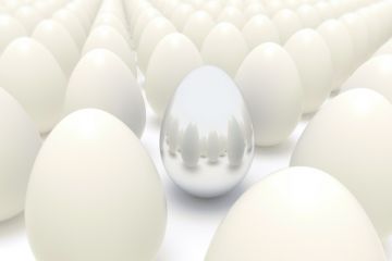 Silver Egg Among Plain Eggs