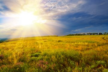 The Earth is bombarded with billions of neutrinos from the Sun's rays neutrinos sun bombarded nobel winning scientists