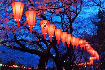 Japanese lanterns Japanese lanterns