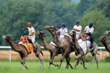 Jockeys riding camels, French Cup of camel races, 2014 Jockeys riding camels, French Cup of camel races, 2014