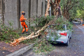 An SES volunteer clears fallen branches from a car in Kirribilli, Australia, 2013 Kirribilli, Australia - February 24, 2013 an SES volunteer clears fallen branches from a car in Kirribilli, Australia on February 24, 2013. A mini-tornado swept through during the previous night, uprooting trees and ripping off roofs.