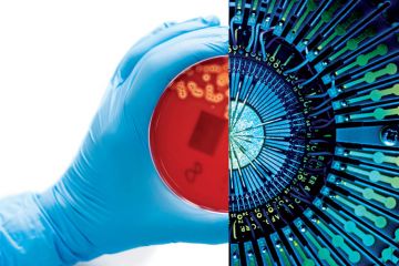 Lead feature montage (20 August 2015) Lead feature montage (20 August 2015)