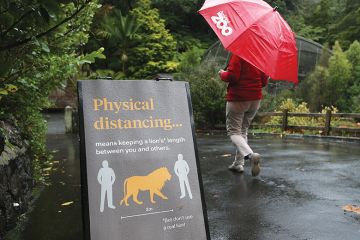 Social distancing sign at Auckland Zoo Social distancing sign at Auckland Zoo