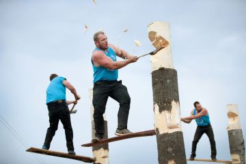 lumberjacks chop tree trunks in a lumberjack competition lumberjacks chop tree trunks in a lumberjack competition to illustrate University presidents are ‘driven by fear’ with him having to make cuts