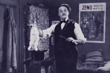 Magician pulls rabbit out of hat Magician pulls rabbit out of hat