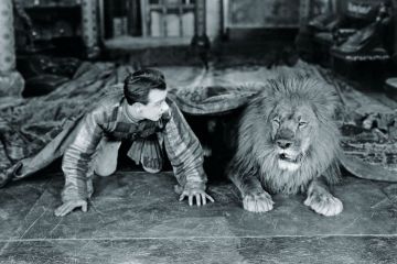 Man and lion lying beneath rug Man and lion lying beneath rug