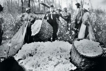 Man weighing basket of cotton balls, 1890s