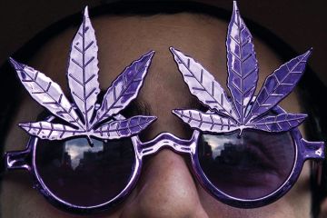 marijuana sunglasses marijuana sunglasses