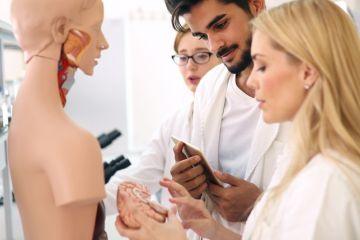 Medical trainees hold an anatomical dummy's brain Medical trainees hold an anatomical dummy's brain, symbolising reorganising the NHS