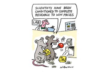 mice