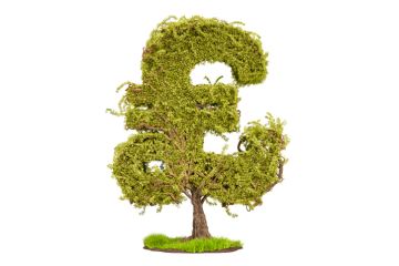 A tree in the shape of a pound sign