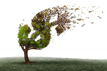 A tree in the shape of a dollar sign sheds its leaves A tree in the shape of a dollar sign sheds its leaves