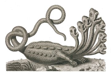 monster with many heads