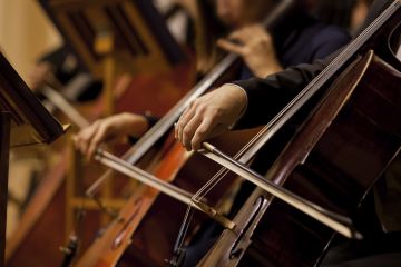 Music orchestra cello