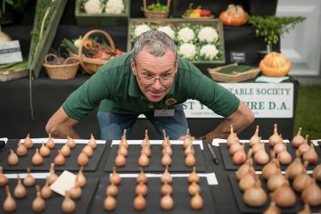 Shallots are judged during the Harrogate Autumn flower show at Newby Hall and Gardens, 2025. To illustrate that the UK’s market for students needs careful curation.
