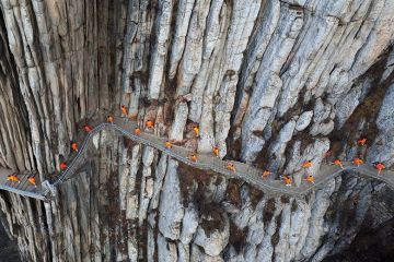 Martial artists practice kung fu on the cliffs at Mount Song, Dengfeng, Henan Province of China Martial artists practice kung fu on the cliffs at Mount Song, Dengfeng, Henan Province of China