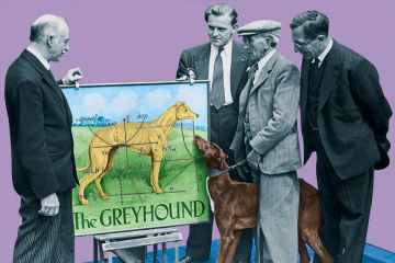 Cover image 19 March 2020