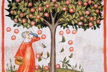 Image from Tacuinum Sanitatis, Medieval Health Handbook, dated before 1400 Image from Tacuinum Sanitatis, Medieval Health Handbook, dated before 1400