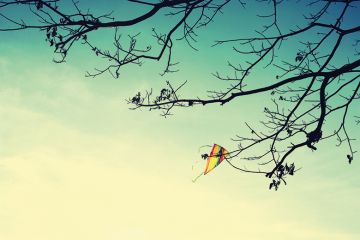Kite