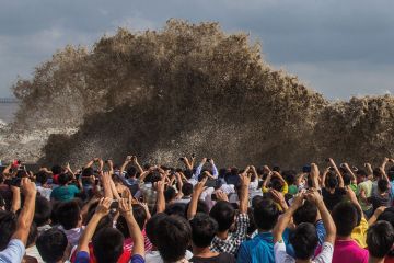People taking photos of tidal waves, Typhoon Usagi