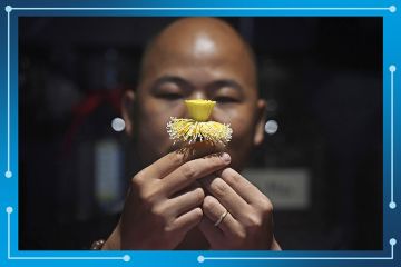 Man holding a lotus flower at his shop in Hanoi, Vietnam. To illustrate the rankings portfolio expanding to support regional development. Man holding a lotus flower at his shop in Hanoi, Vietnam. To illustrate the rankings portfolio expanding to support regional development.