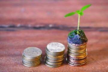 Piles of coins increasing in size (pension/savings)