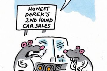 rat cartoon rat cartoon