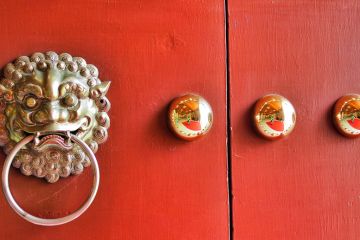 Red door Lion Decoration