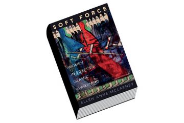 Review: Soft Force, by Ellen Anne McLarney Review: Soft Force, by Ellen Anne McLarney