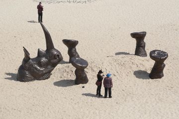 People near the Buried Rhino sculpture by artists Gillie and Marc Schattner, exhibited along the coastal walk between Bondi and Tamarama Beaches, Australia. To illustrate that universities should stop ignoring the African HE boom. People near the Buried Rhino sculpture by artists Gillie and Marc Schattner, exhibited along the coastal walk between Bondi and Tamarama Beaches, Australia. To illustrate that universities should stop ignoring the African HE boom.