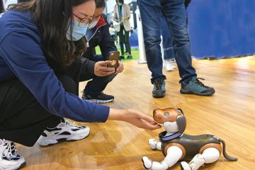 Robot dog