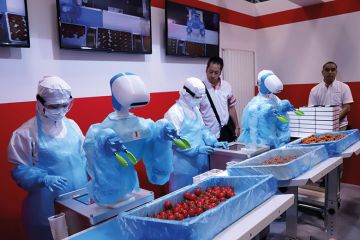 Robots packing lunchboxes, Tokyo Robots packing lunchboxes, Tokyo