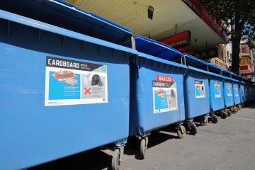Rubbish bin for collection in Melbourne Rubbish bin for collection in Melbourne