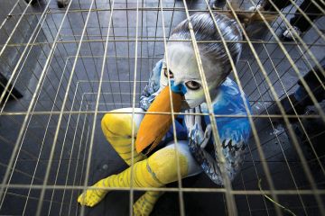 Sad young woman dressed as bird in cage