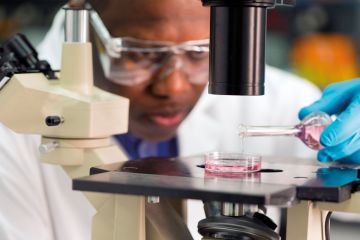 Undergraduates and PhD students should be able to access their own research funding streams, according to a new declaration by EU researchers Medical student in research lab