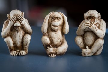 Monkeys seeing, hearing and saying no evil