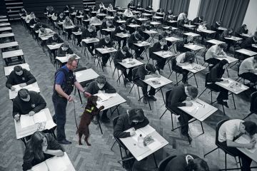 Sniffer dog Sniffer dog