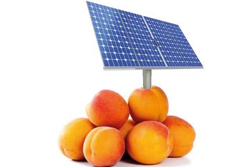 Solar panel in peaches