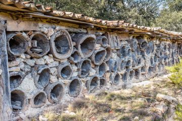 Old bee hive construction in a holm oak forest in rural Castile for apiculture Solarana, Burgos, Spain - November 28, 2015 old bee hive construction in a holm oak forest in rural Castile for apiculture. The derelict hives held the honeycomb to be harvested for honey and wax.