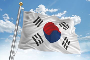 South Korea flag South Korea flag