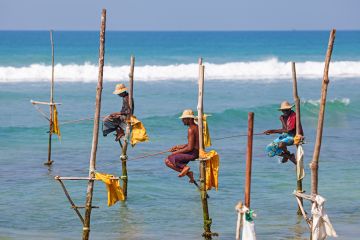 Fishermen sit on their stilts waiting for shoal of fish that will pass their stilts in the shallow water, Weligama, Sri Lanka.